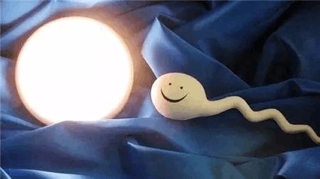 包生男孩试管机构生殖中心
